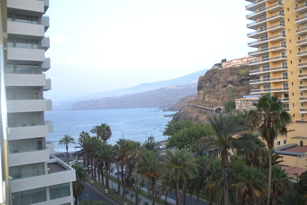 Palmeras Avenida location